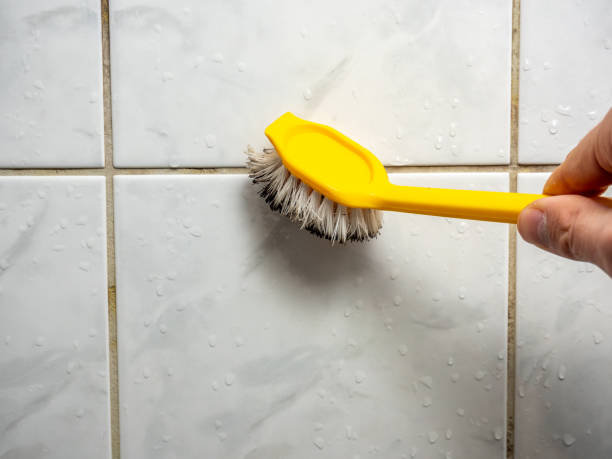 Clairton, PA Mold Removal Company