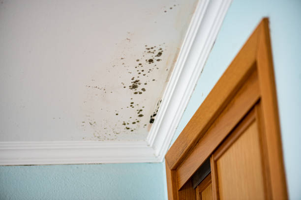 Water Damage Restoration in Clairton, PA