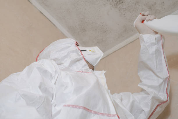 Best Commercial Mold Removal  in Clairton, PA